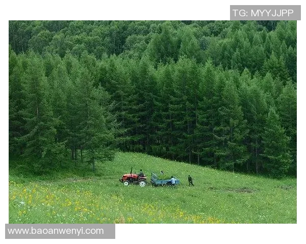 铁丝箍树下的足球明星梦与成长之路 铁丝箍树下的足球明星梦与成长之路