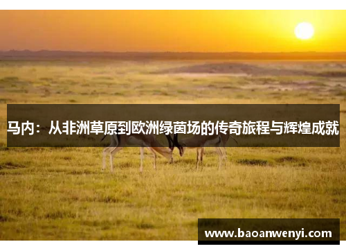 马内：从非洲草原到欧洲绿茵场的传奇旅程与辉煌成就